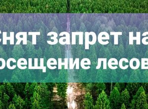 news title image
